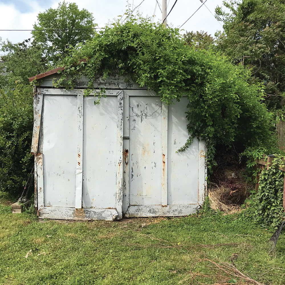 Old shed in need of teardown by Cousins Hauling and Clean-out