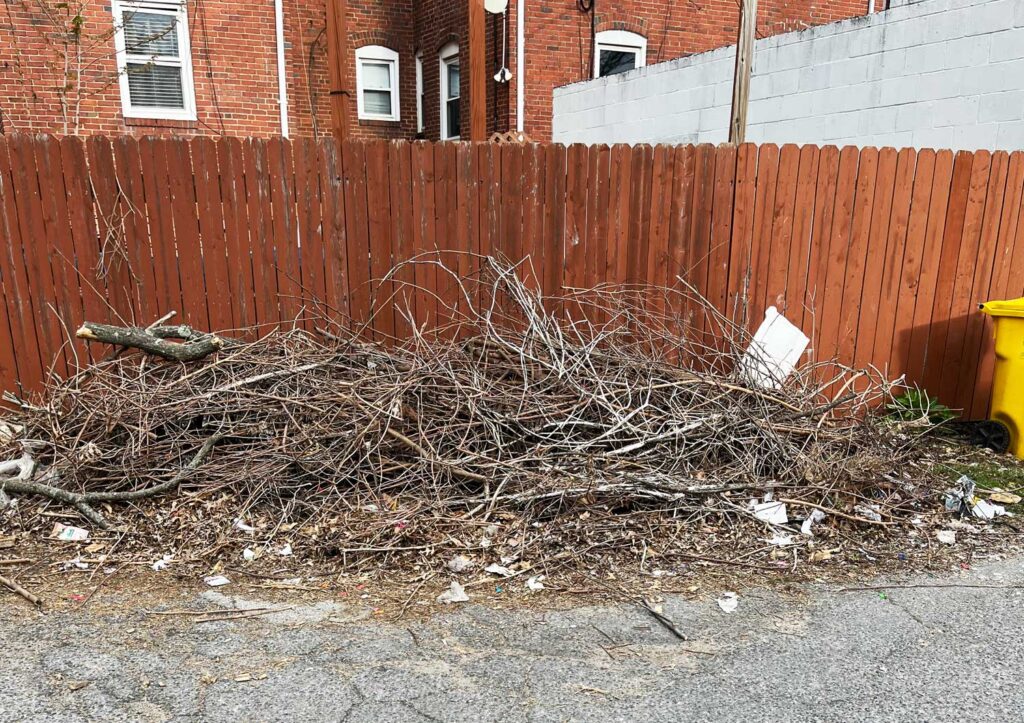 Red fence in alley with dead branches pile